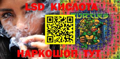 дмт Малгобек