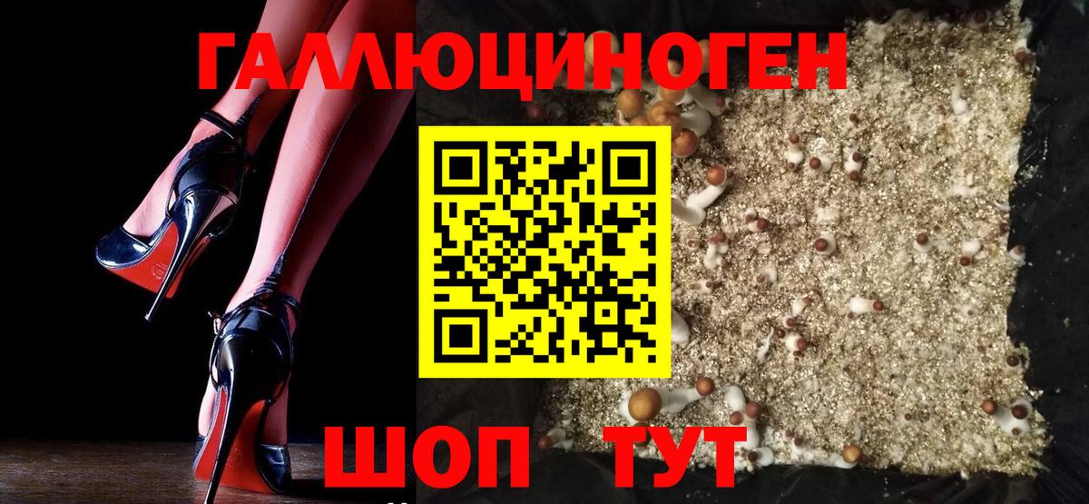 Псилоцибиновые грибы Cubensis Трёхгорный