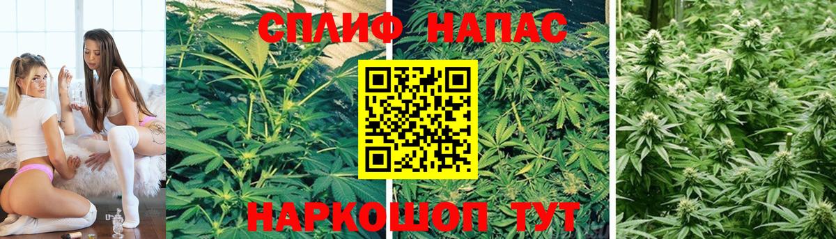 Канабис OG Kush  Вход с VPN  Трёхгорный  Каннабис THC 21% 